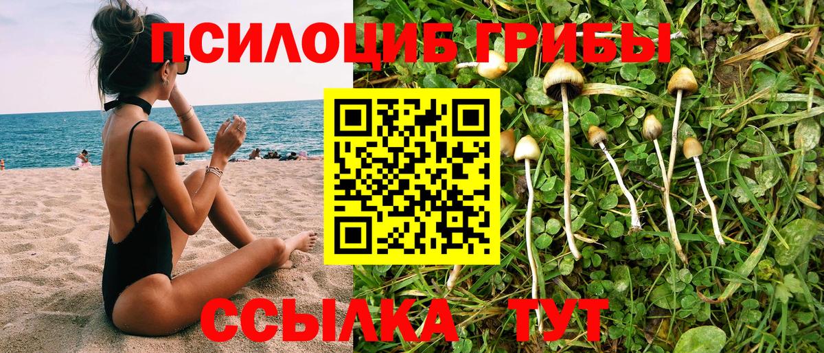 Галлюциногенные грибы Magic Shrooms Нижний Тагил